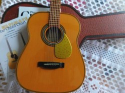 ag guitar d